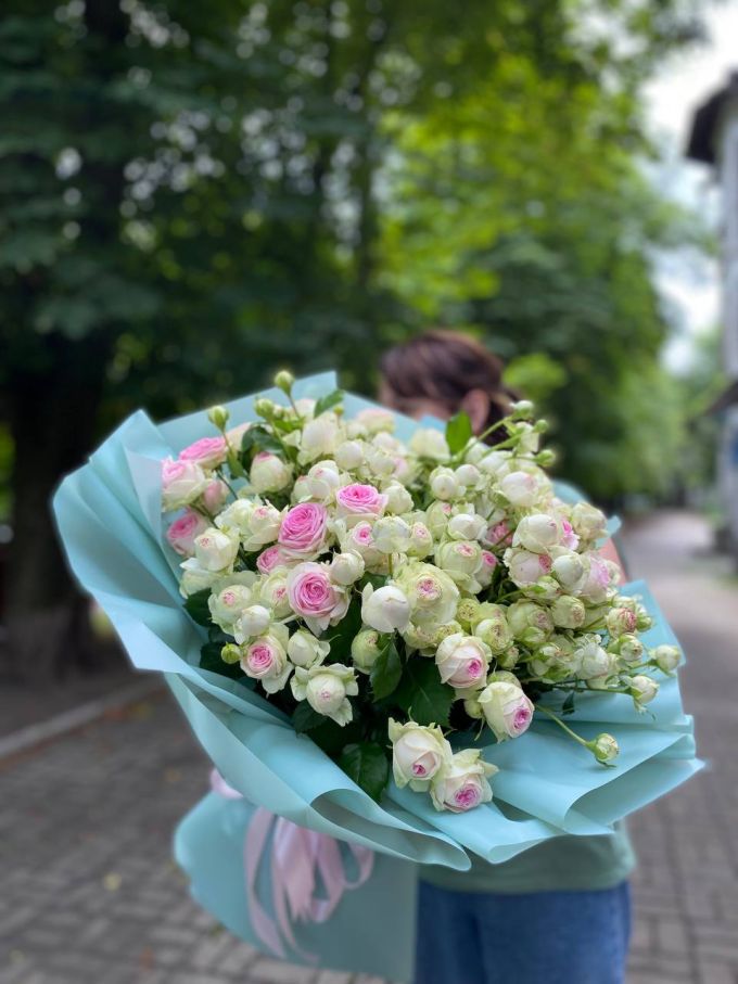 21 кущова троянда Джелатто