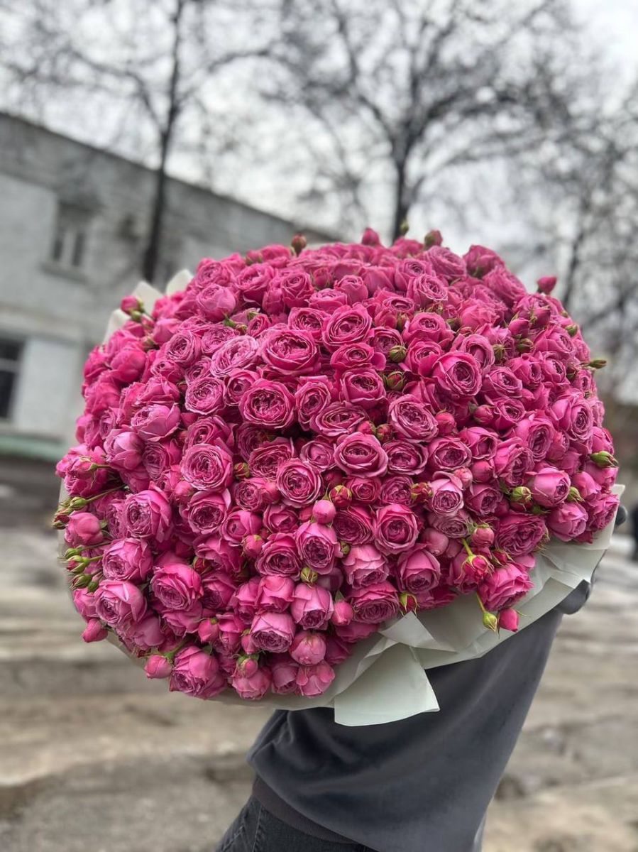 101 кущова троянда Місті Баблз