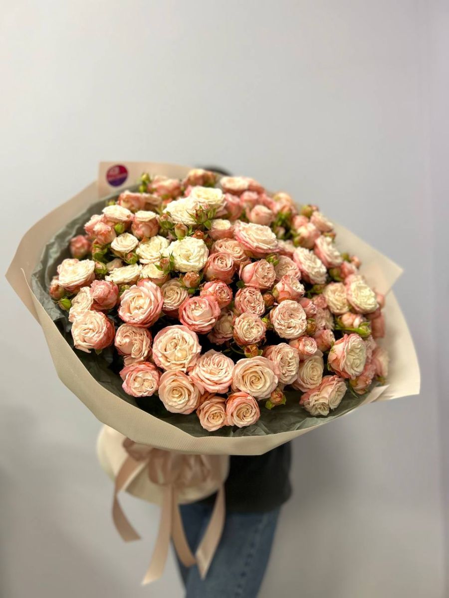 31 кущова троянда Мадам Бомбастик