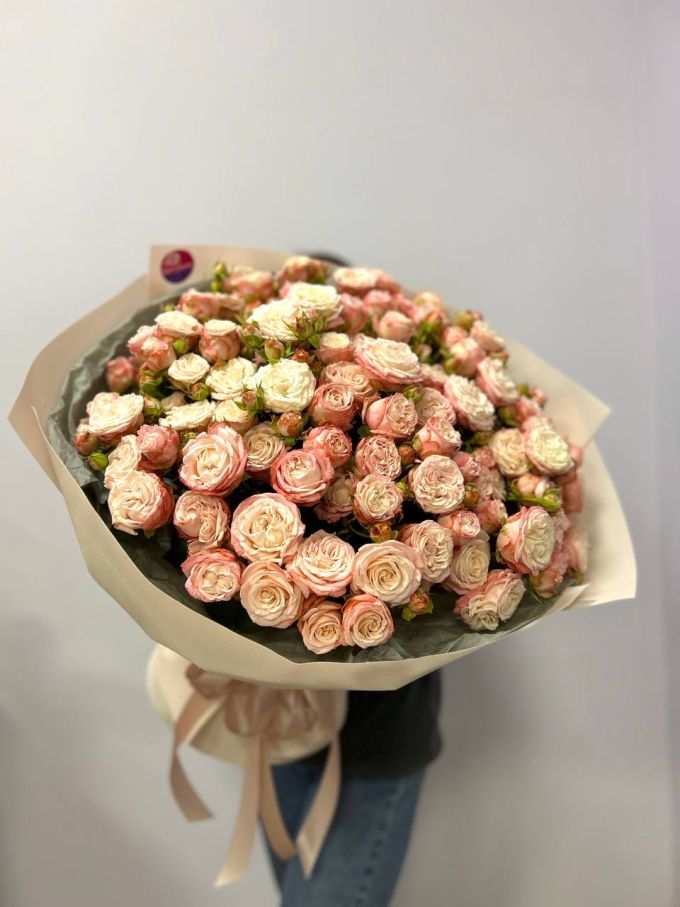31 кущова троянда Мадам Бомбастик