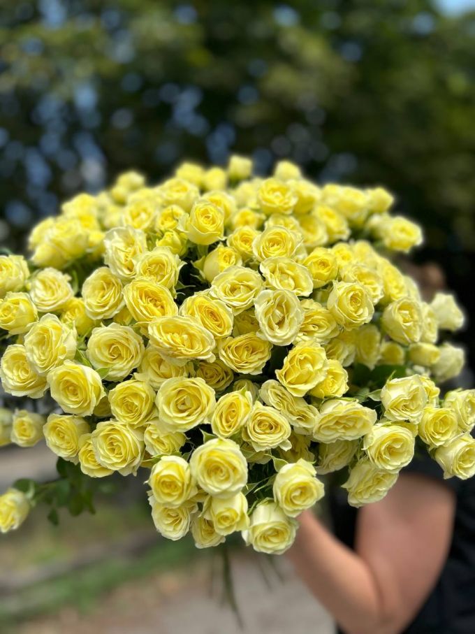 19 кущових троянд Ведінг ін Вайт