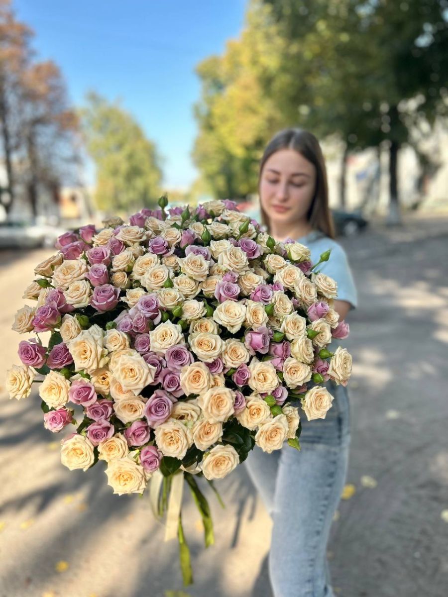 41 кущова троянда мікс Таня, Лейла