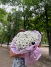 15 хризантем Ромашка