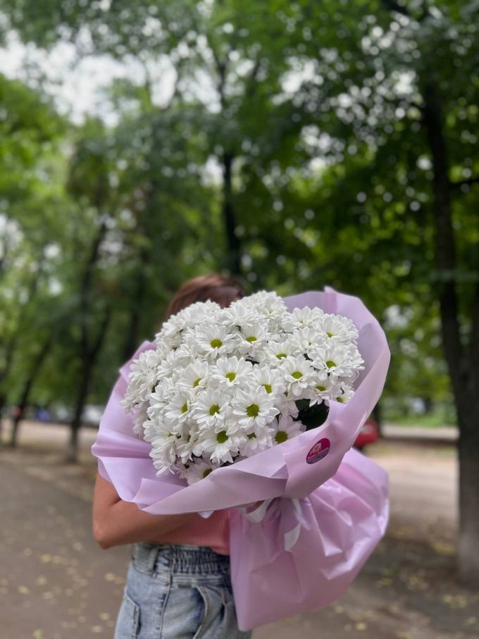 15 хризантем Ромашка