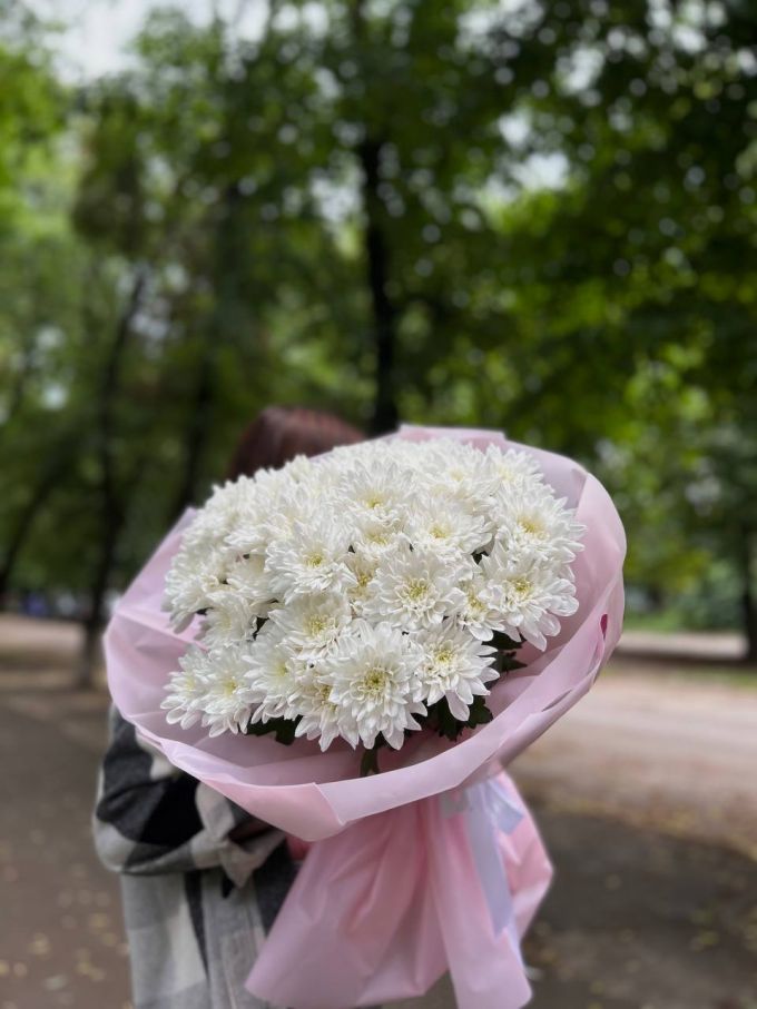 15 хризантем Зембла