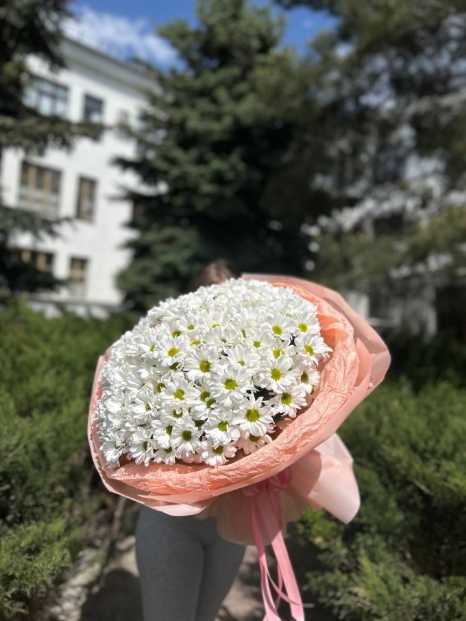 19 хризантем Ромашка