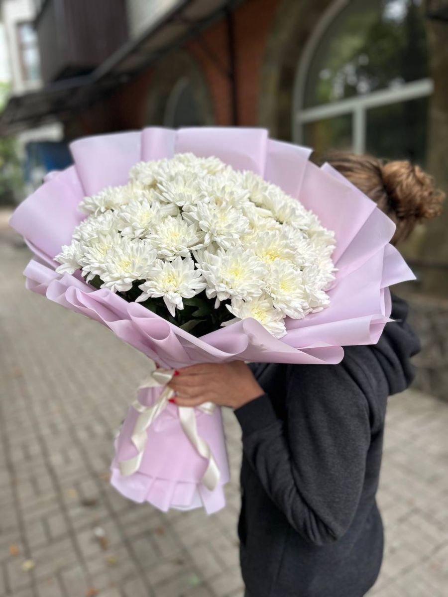 11 хризантем Зембла