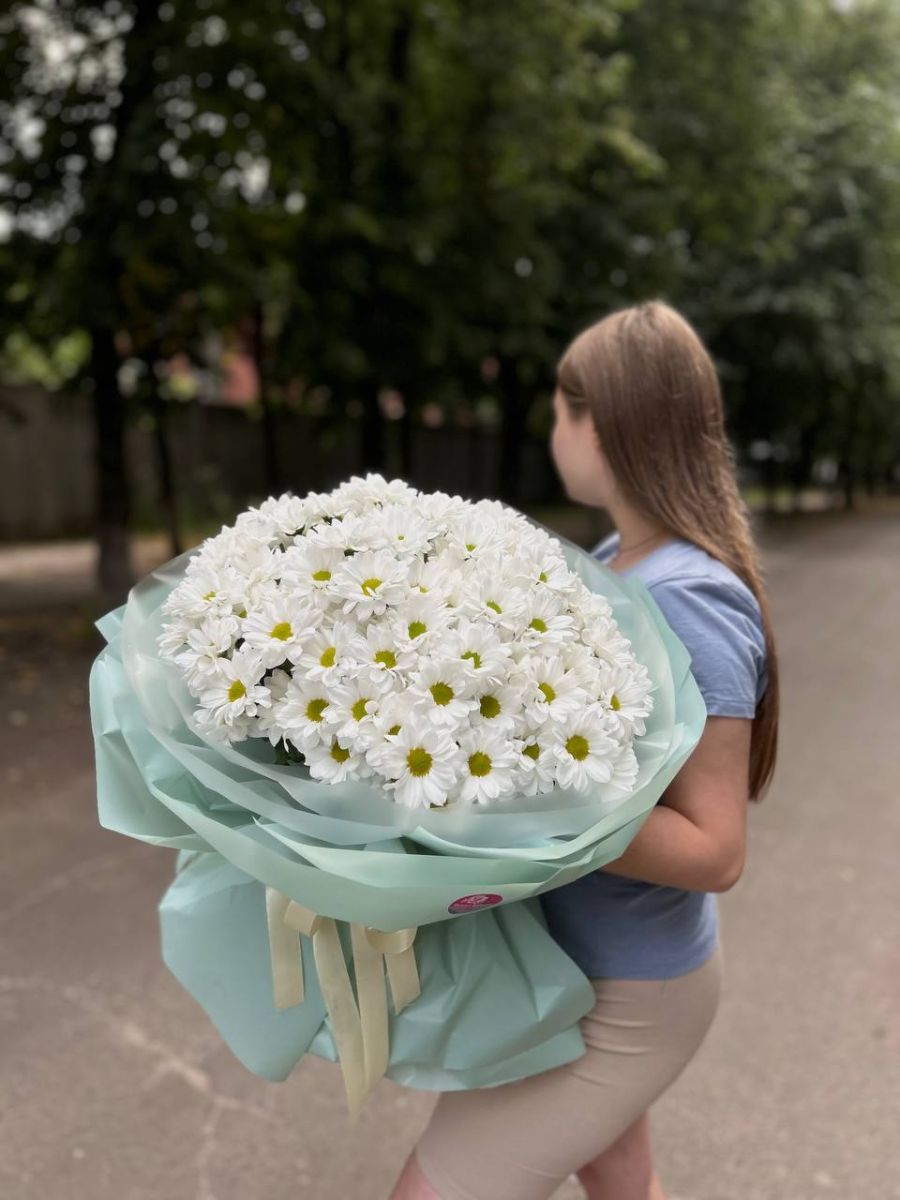 15 хризантем Ромашка
