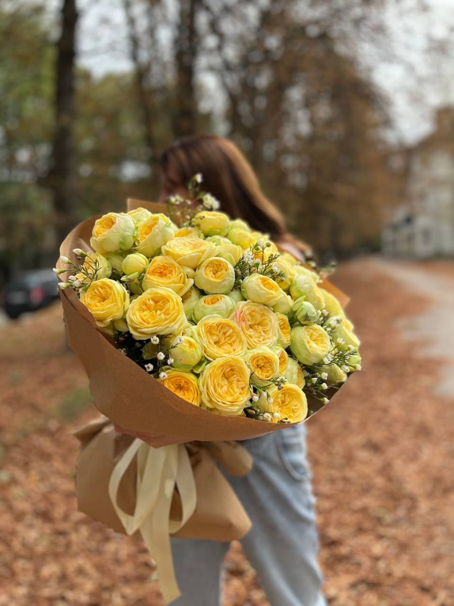 21 кущова троянда Піоні Баблз