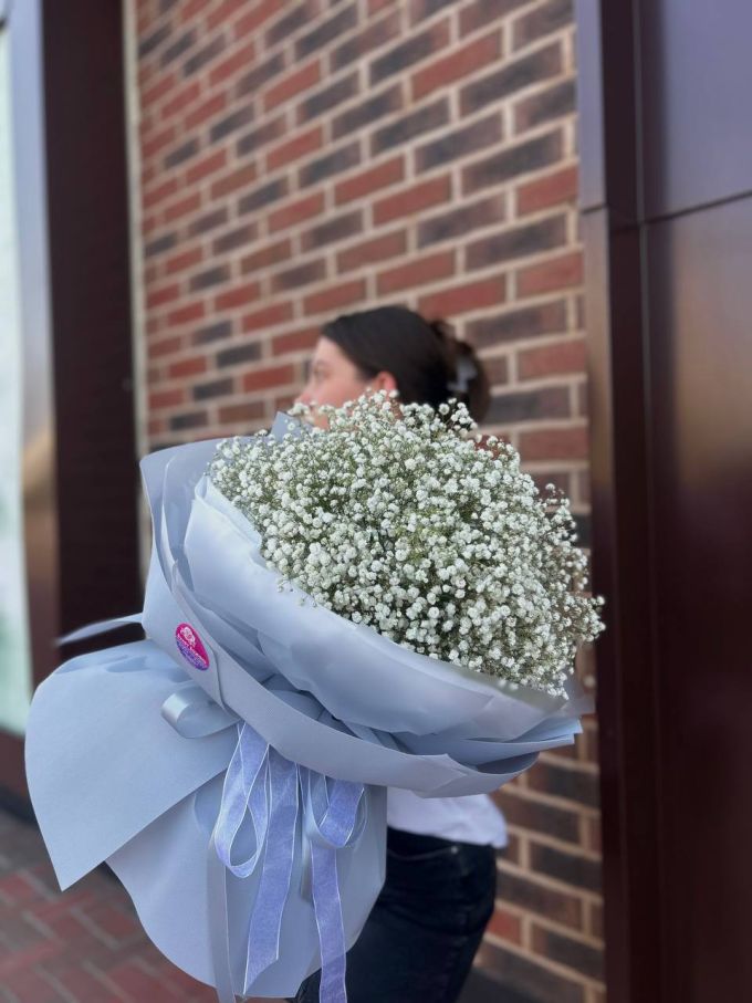 11 гілок гіпсофіли