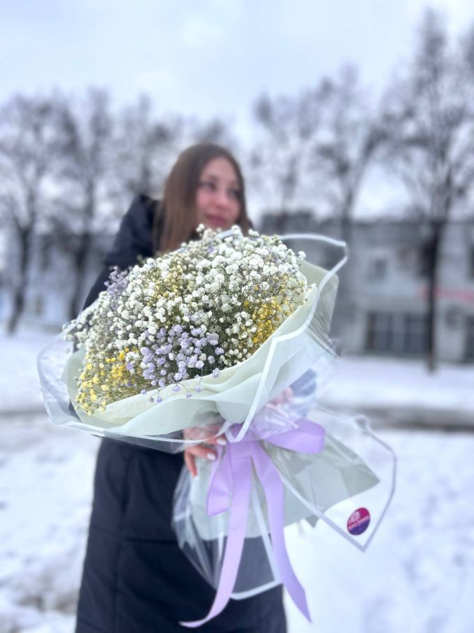 9 гілок гіпсофіли