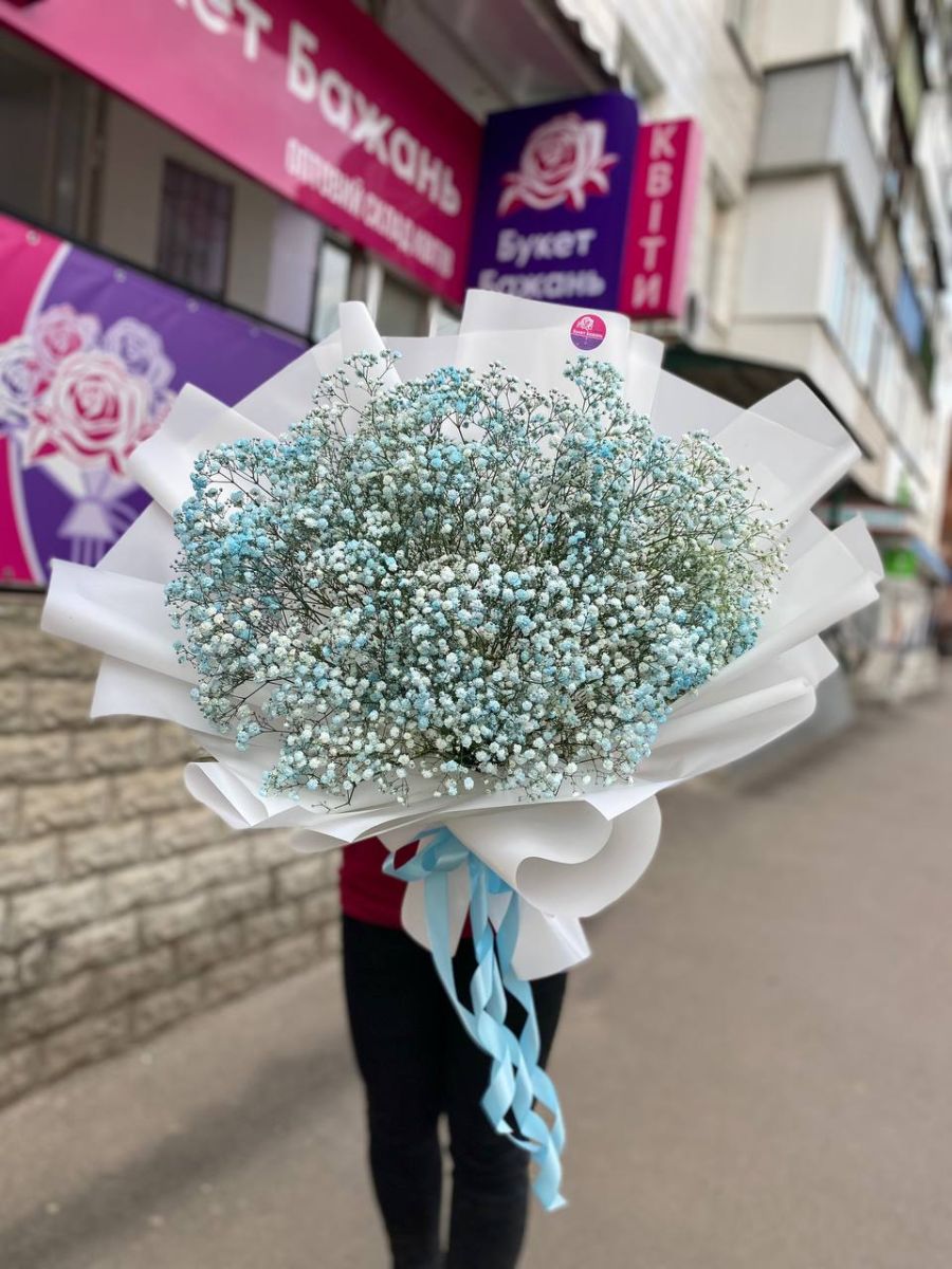 17 гілок гіпсофіли
