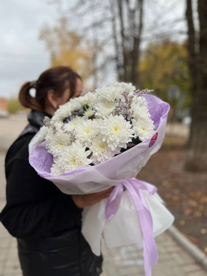 7 хризантем Зембла