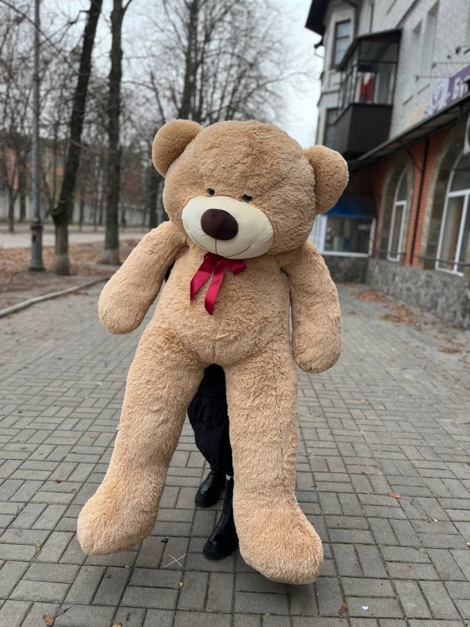 Ведмідь 200 см