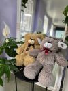 Ведмідь 40 см